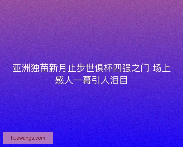 亚洲独苗新月止步世俱杯四强之门 场上感人一幕引人泪目
